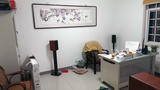 IMAG0955
